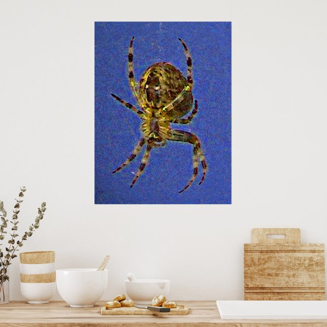 Colorful Orb Spider  Poster (Kitchen)