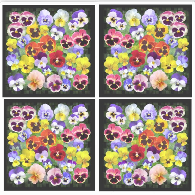Colorful Pansy Display Contour (Front)