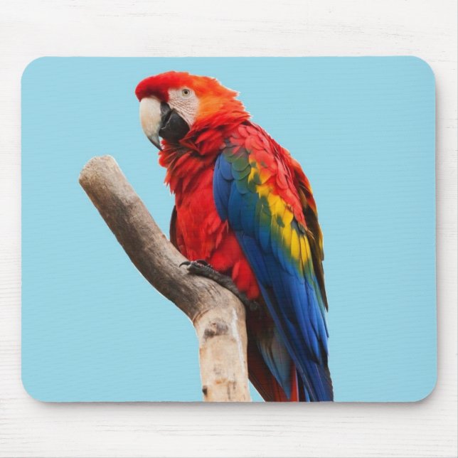 Colorful Parrot Portrait Photo Mouse Pad (Front)