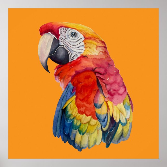 Colorful Parrot Watercolor Illustration Poster (Front)