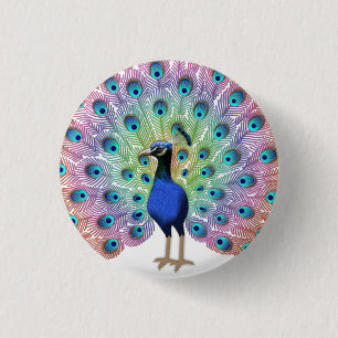 Colorful Peacock 3 Cm Round Badge