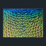 Colorful Peacock Feathers in a Art Deco Pattern<br><div class="desc">Print featuring a close up of the beautiful feathers on the nape of a peacock that form an exquisite art deco-like pattern,  highlighting the colorful iridescent green,  blue,  bronze and yellow details of these feathers. Unique beautiful wall decor for bird and nature lovers. Photo taken at Arcadia,  California.</div>