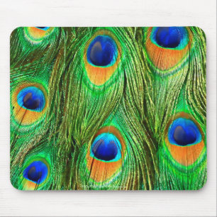 Colorful Peacock Feathers Print Mouse Pad