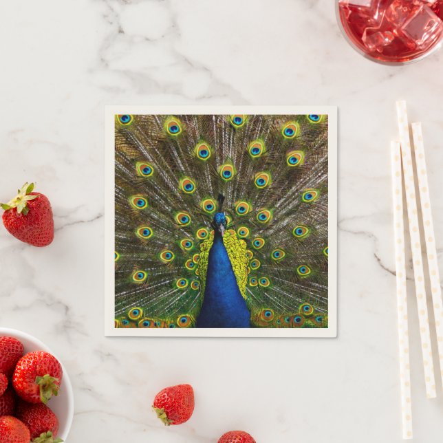 Colorful peacock napkin (Insitu)