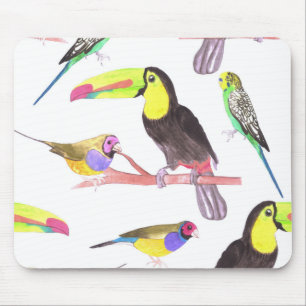 Colorful pet birds perched on a branch mouse pad