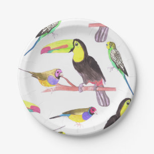 Colorful pet birds perched on a branch paper plate
