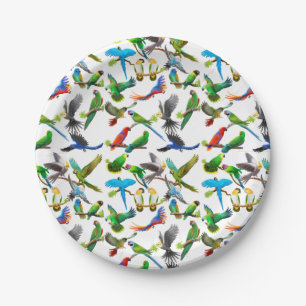 Colorful Pet Parrots Paper Plate