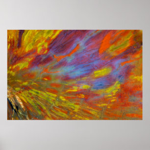 Colorful Petrified Wood close-up Poster