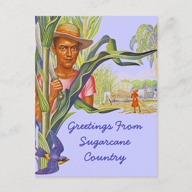 COLORFUL PROMO TRAVEL SUGARCANE HARVEST POSTCARD (Front)