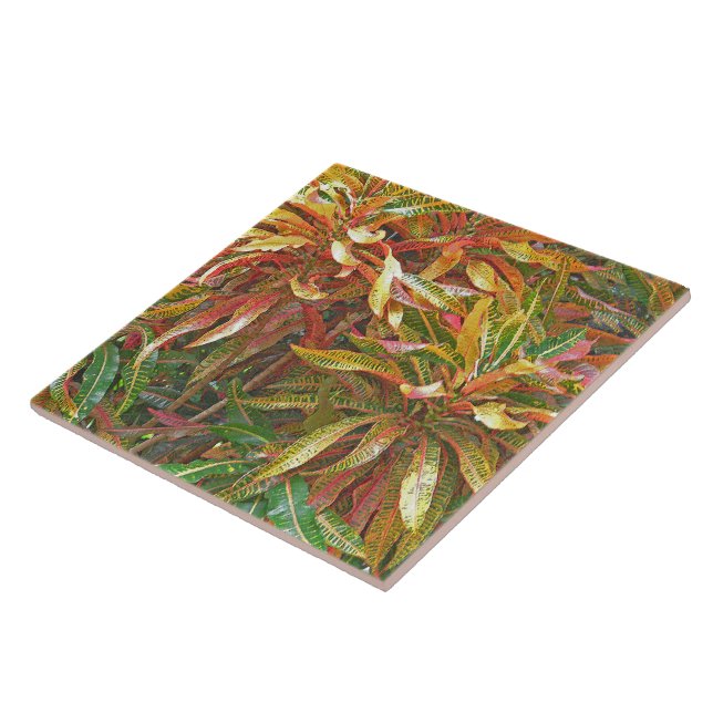 "COLORFUL RIBBON-LIKE LEAVES" CERAMIC TILE/TRIVET TILE (Side)