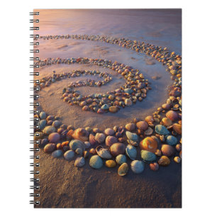 Colorful Seashell Spiral Beach Notebook
