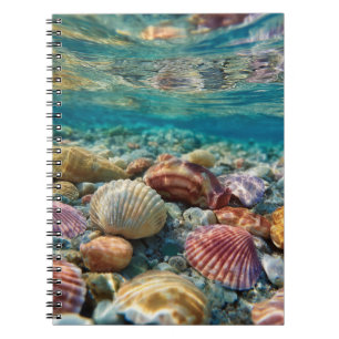 Colorful Seashells Underwater Ocean Notebook