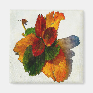 Colorful shades of autumn leaves  magnet