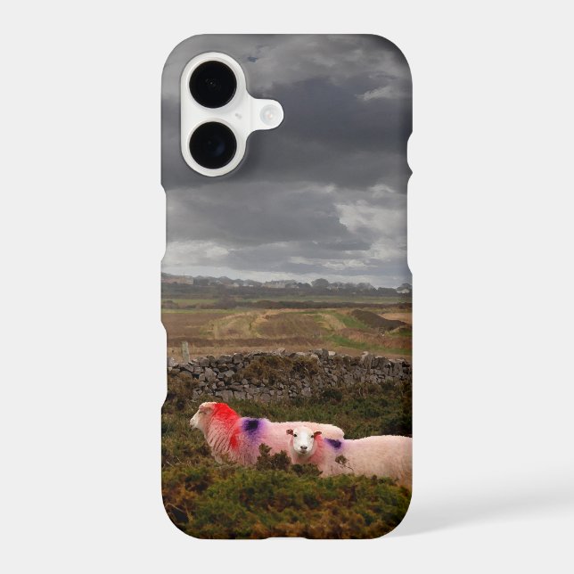 Colorful sheep (Back)
