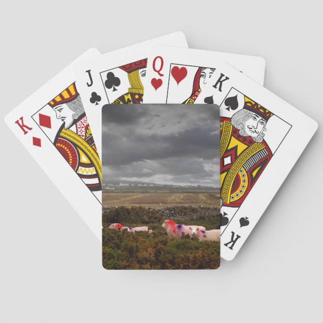 Colorful sheep playing cards (Back)
