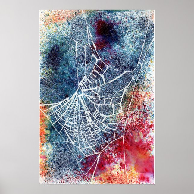 colorful spider web poster (Front)
