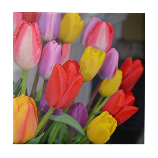 Colorful spring tulips ceramic tile (Front)