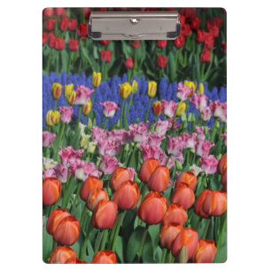 Colorful spring tulips clipboard