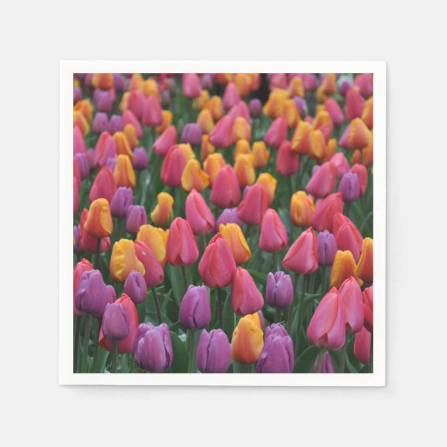 Colorful spring tulips napkin (Front)