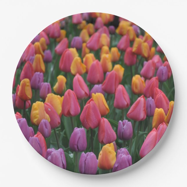 Colorful spring tulips paper plate (Front)