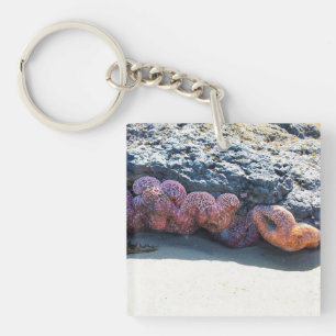 Colorful Starfish at Bob Creek, OR Key Ring