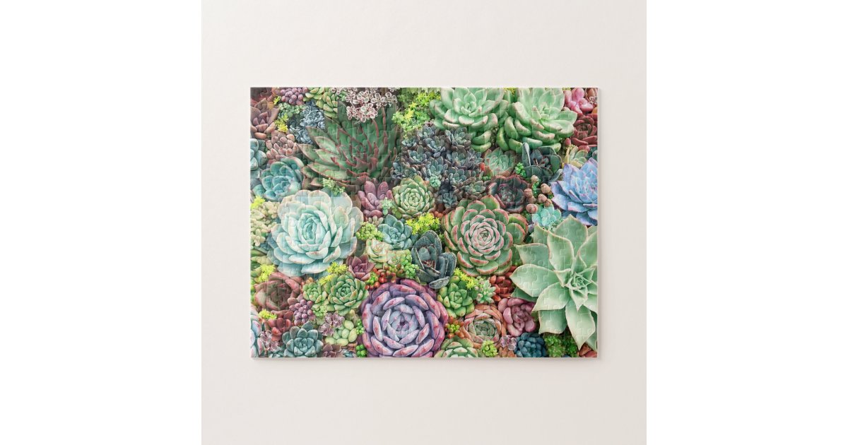 Colorful Succulent Garden Jigsaw Puzzle | Zazzle