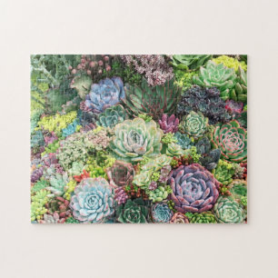Colorful Succulent Garden Jigsaw Puzzle