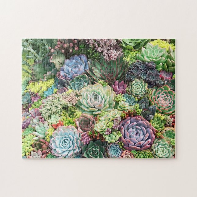 Colorful Succulent Garden Jigsaw Puzzle (Horizontal)