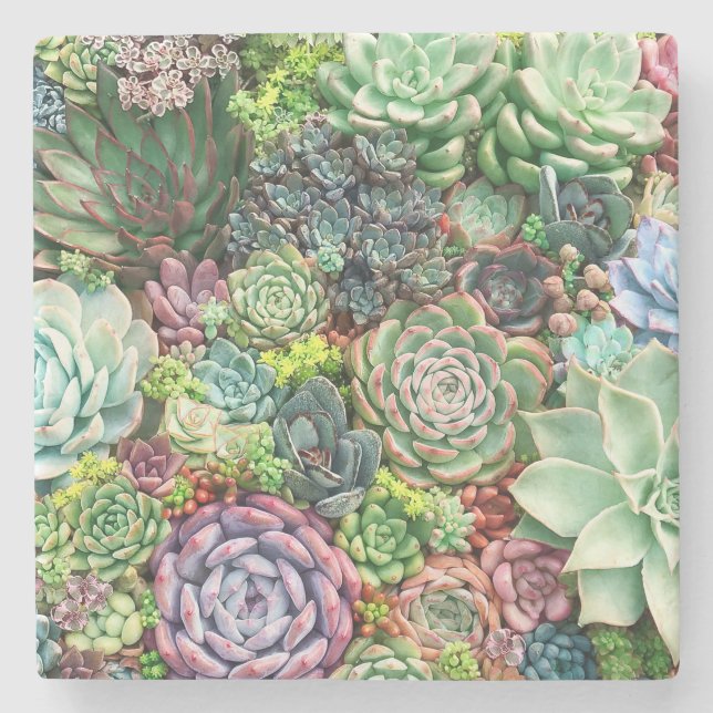 Colorful Succulent Garden Stone Coaster (Front)