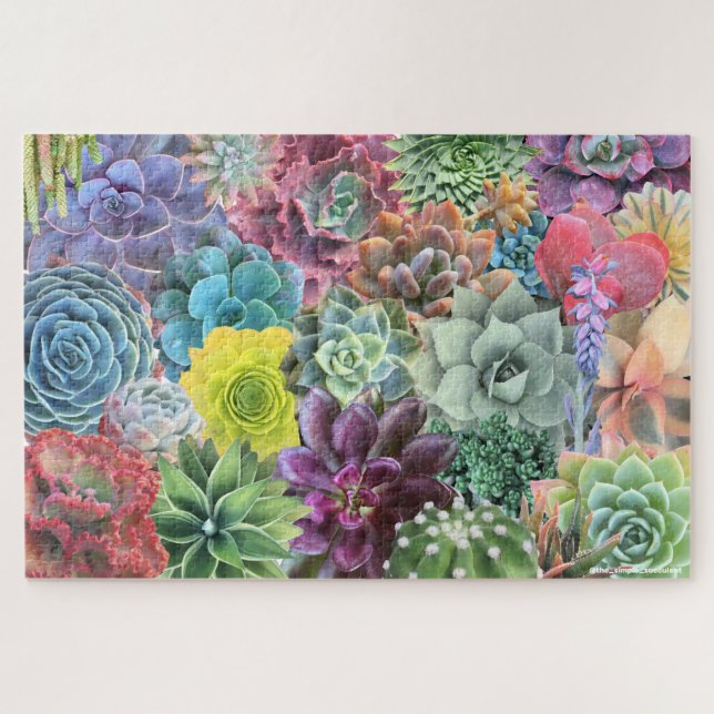 Colorful Succulent Puzzle (Horizontal)