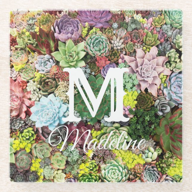 Colorful Succulents Glass Coaster (Front)