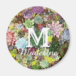 Colorful Succulents Magnet