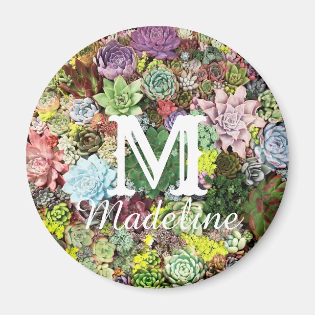 Colorful Succulents Magnet (Front)