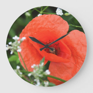 Colorful summer field poppy flower in green vegeta large clock
