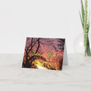 Colorful Sunset Through Bare Trees Thank You Card