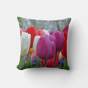 Colorful tulips beauty cushion