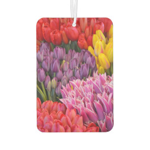 Colorful tulips car air freshener