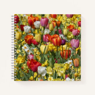 Colorful Tulips & Daffodils Flowers Notebook