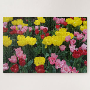 Colorful Tulips in the Garden Jigsaw Puzzle
