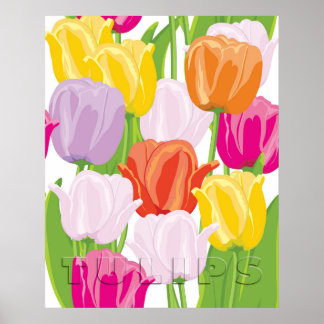 Colorful Tulips Poster