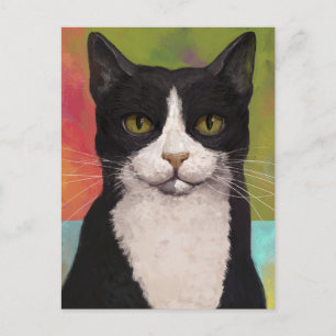 Colorful Tuxedo Cat Postcard