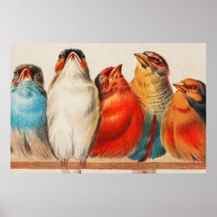 Colorful vintage illustration of five little birds poster