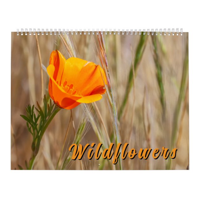 Colorful Wildflowers  Calendar (Cover)