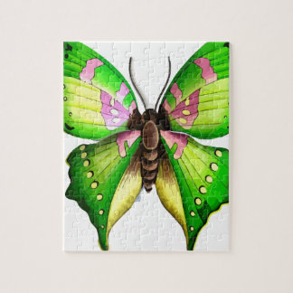 Colorfull Butterfly Jigsaw Puzzle