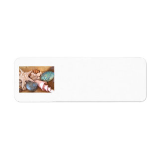 colorfull multiple sea shell arrangement return address label