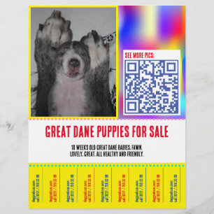 Colorfull tear off puppy selling flyer