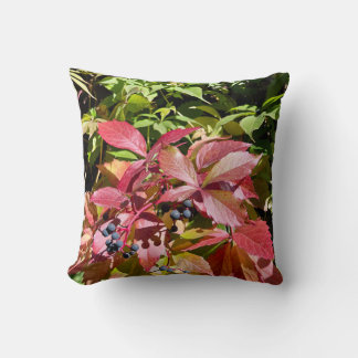 Colors Cushion