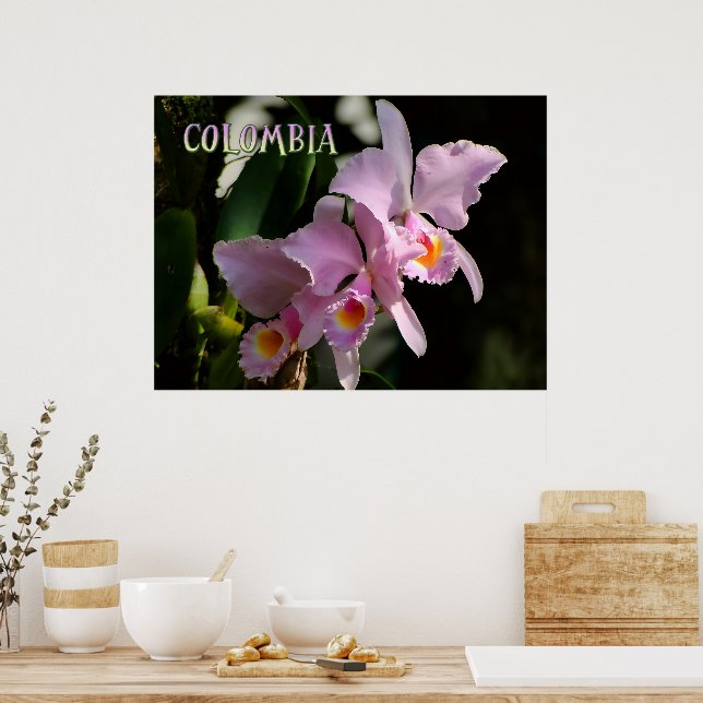 Colors of Colombia Orchid Poster (Kitchen)