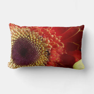 Colors of Gerberas Lumbar Cushion