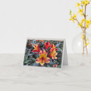 Colors of summer card